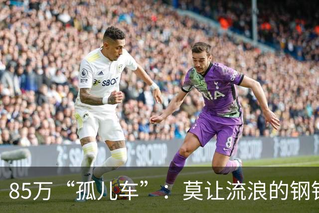 85万“孤儿车”：莫让流浪的钢铁，成为“中国制造”的伤疤